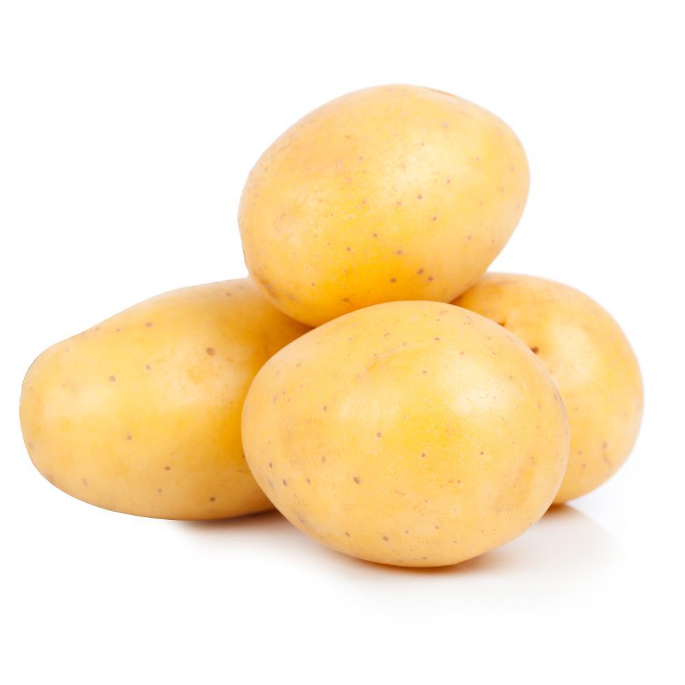 Batata comum