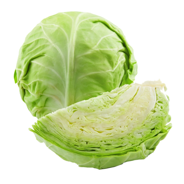 REPOLHO